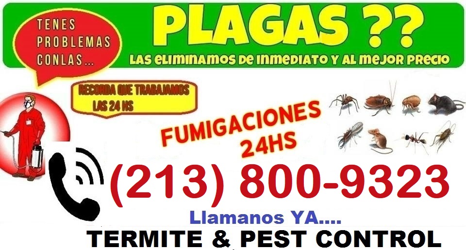 24-hs-fumigacion-control-de-plagas-fumigaciones-fumigador-328905-MLA25125987283_102016-F